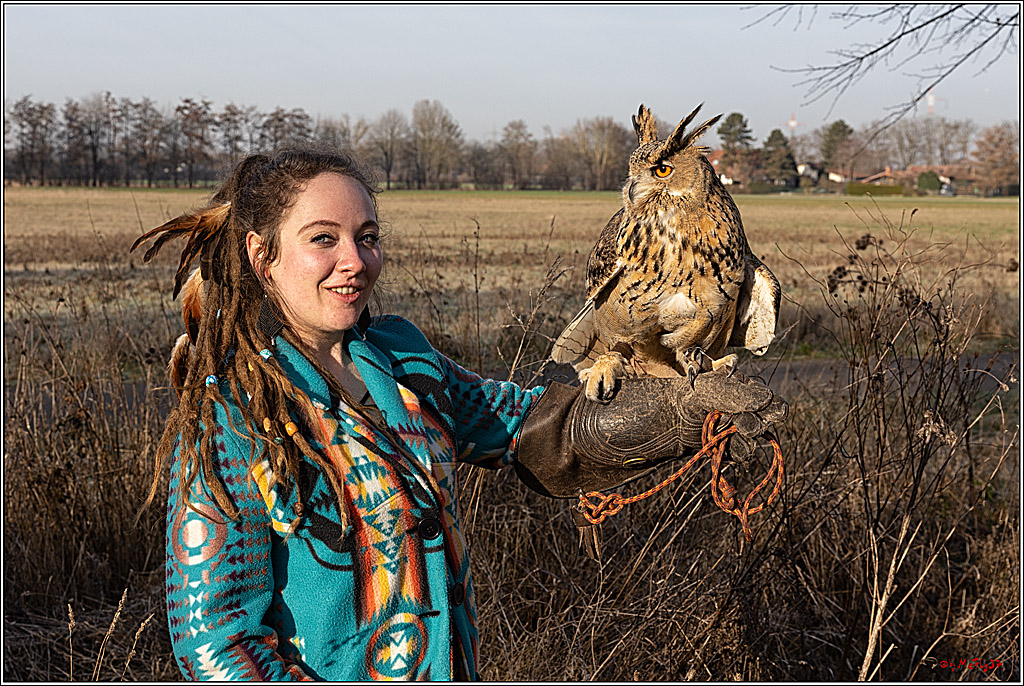 Cheyenne-Halbblut Hunting Wolf in der Falknerei Pierre Schmidt; Gymnich, 09.02.2023